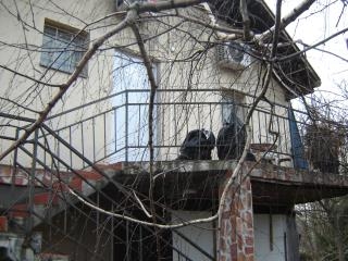 poslovni prostor   Beograd  Čukarička padina    Endija Vorhola